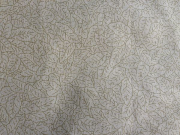 Folhas 01